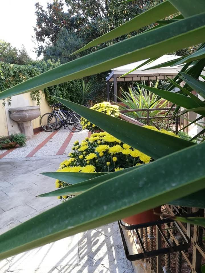 Villa Antonella Rooms Mondello Palermo Ngoại thất bức ảnh